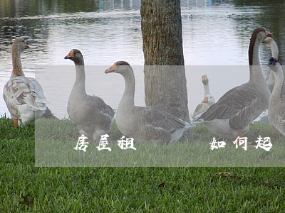 房屋租賃糾紛如何起訴,房屋租賃糾紛怎么起訴 房屋租賃糾紛如何起訴,房屋租賃糾紛怎么起訴