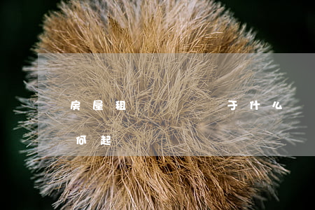 房屋租賃糾紛屬于什么糾紛(房屋租賃糾紛如何起訴)