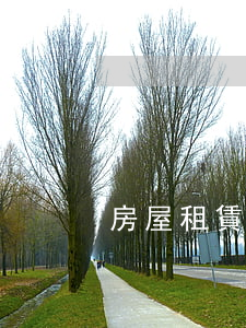 房屋租賃糾紛法律常識，趕緊收藏