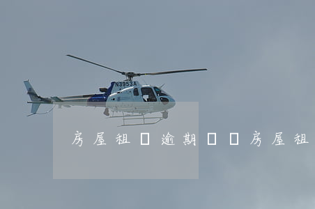 房屋租賃逾期訴訟(房屋租賃起訴)
