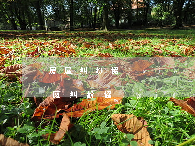 房屋糾紛協(xié)議書怎么寫才有效(家庭糾紛協(xié)議書怎么寫才有效)