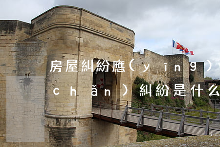 房屋糾紛應(yīng)該怎么處理(房產(chǎn)糾紛是什么法)