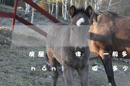 房屋糾紛請律師費一般多少錢(律師財產(chǎn)糾紛收費多少)