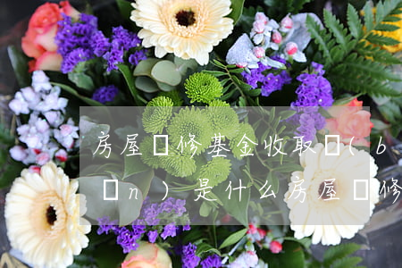 房屋維修基金收取標(biāo)準(zhǔn)是什么（房屋維修基金什么時(shí)候交）
