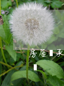 房屋繼承公證有時效嗎(房屋繼承 一定要公證嗎)