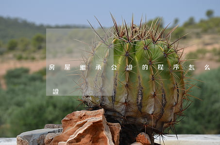 房屋繼承公證的程序怎么走(怎樣辦理繼承公證)
