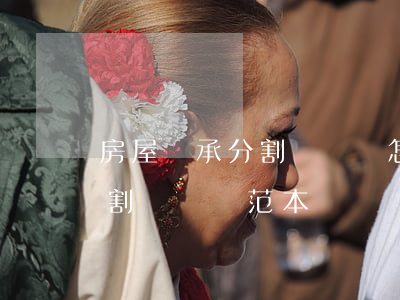 房屋繼承分割協議書怎么寫(房屋遺產兄弟分割協議書范本)