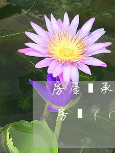房屋繼承哥哥失終怎么辦(兄弟姐妹一人繼承房產(chǎn),其他放棄繼承)