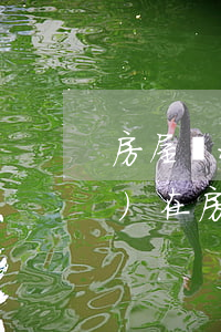 房屋繼承有時(shí)效嗎(現(xiàn)在房屋繼承有沒有新規(guī)定)