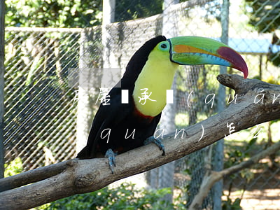 房屋繼承權(quán)怎么寫(房屋繼承權(quán)怎么寫)