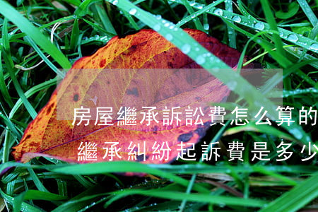房屋繼承訴訟費怎么算的(房產(chǎn)繼承糾紛起訴費是多少)