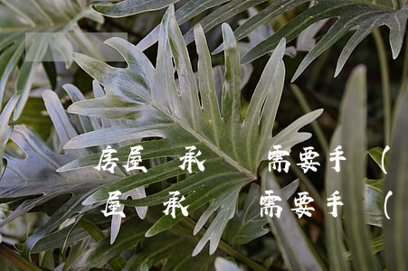 房屋繼承過戶需要手續(xù)怎么辦理(房屋繼承過戶需要手續(xù)怎么辦理)