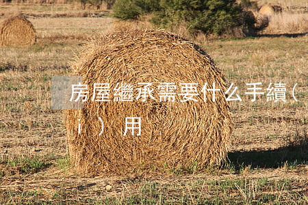 房屋繼承需要什么手續(xù)和費(fèi)用