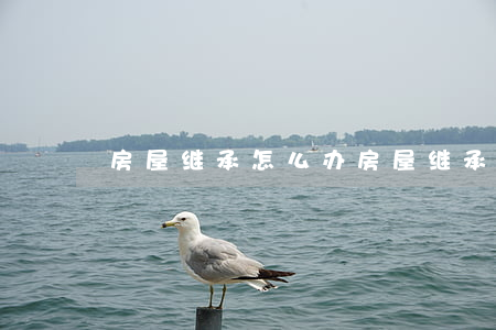 房屋继承怎么办(房屋继承怎么办理划算)