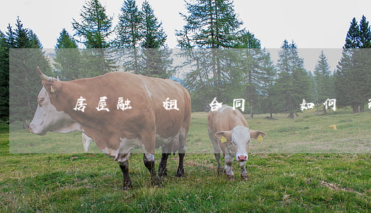 房屋融資租賃合同糾紛如何處理(關于房屋租賃糾紛)