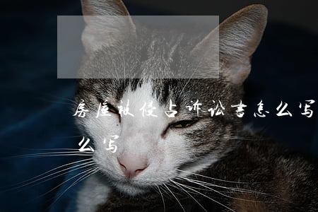 房屋被侵占诉讼书怎么写(侵占财产起诉书怎么写)
