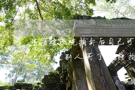 房屋被法院拍卖后自己可以买吗(法院拍卖房已经被别人买了还能拍了吗)