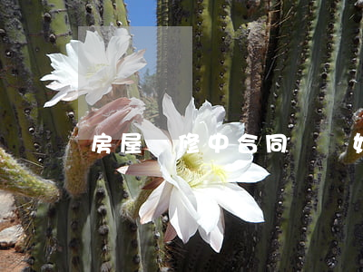 房屋裝修中合同糾紛如何維權(quán)