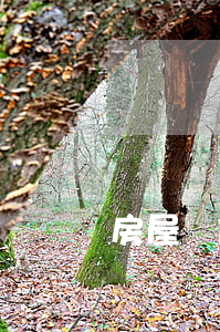 房屋裝修合同糾紛向哪個(gè)部門投訴