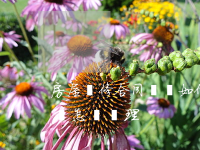 房屋裝修合同糾紛如何解決(房屋裝修合同糾紛怎樣處理)