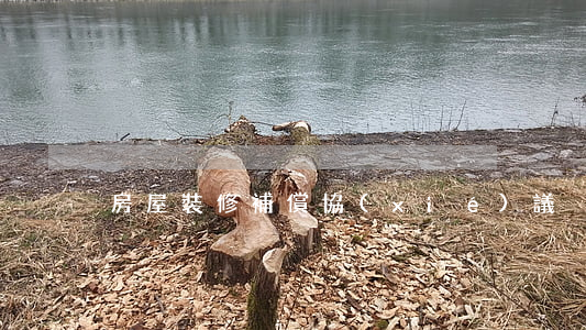 房屋裝修補償協(xié)議