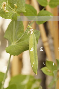 房屋評(píng)估報(bào)告復(fù)核程序