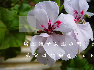 房屋讓子女繼承需什么手續(xù)(兒女繼承父母的房產(chǎn)什么手續(xù)最簡單)