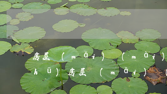 房屋買(mǎi)賣(mài)合同書(shū)(房屋買(mǎi)賣(mài)合同正規(guī)版本)