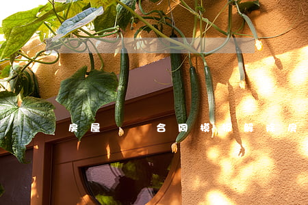 房屋買賣合同模板(解除房屋買賣合同模板)