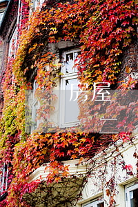 房屋買賣合同糾紛上訴多久二審立案(民事糾紛二審上訴后多久開(kāi)庭)