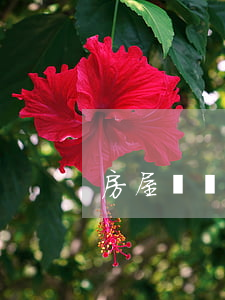 房屋買賣合同糾紛去哪里起訴