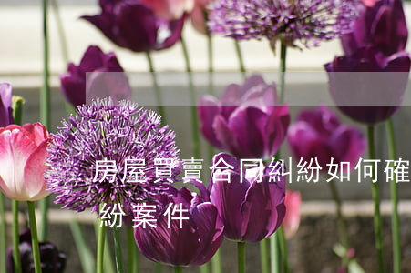 房屋買賣合同糾紛如何確定(房屋買賣合同糾紛案件)