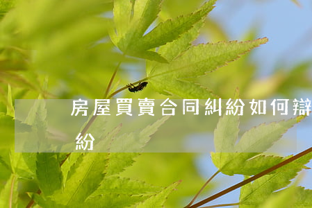 房屋買賣合同糾紛如何辯護(房屋買賣合同 糾紛)