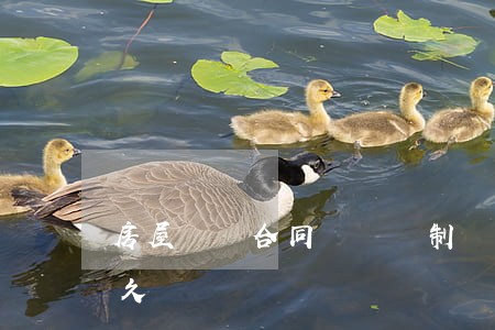 房屋買賣合同糾紛強制執(zhí)行要多久