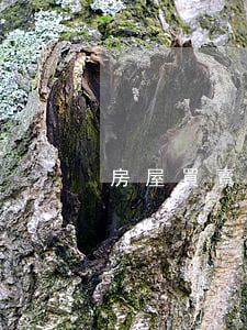 房屋買賣合同糾紛由哪個部門管轄