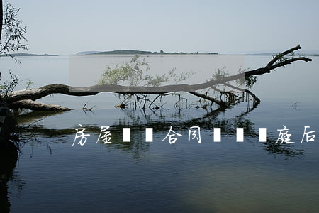 房屋買賣合同糾紛開庭后多久判決