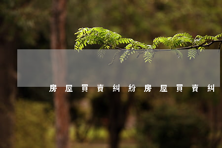 房屋買賣糾紛(房屋買賣糾紛)