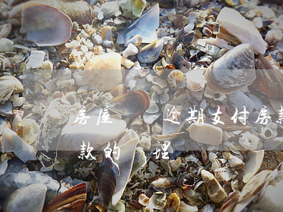 房屋買賣逾期支付房款(購房合同房子逾期付款的處理)