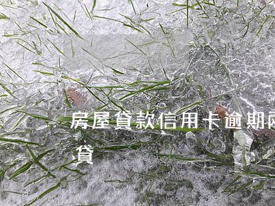 房屋貸款信用卡逾期兩次(信用卡逾期一次 房貸)