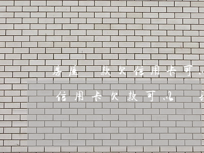 房屋貸款欠信用卡可以貸嗎(有銀行貸款還有信用卡欠款可以辦理房貸嗎)