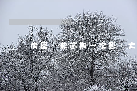 房屋貸款逾期一次影響大嗎(房貸逾期一次咋辦)