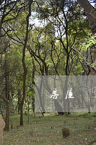 房屋貸款逾期怎么還款(逾期的房貸怎么還款)