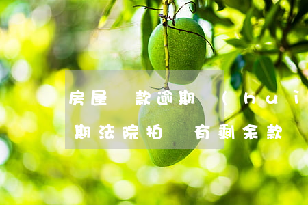 房屋貸款逾期會(huì)被拍賣嗎(房貸逾期法院拍賣有剩余款嗎)