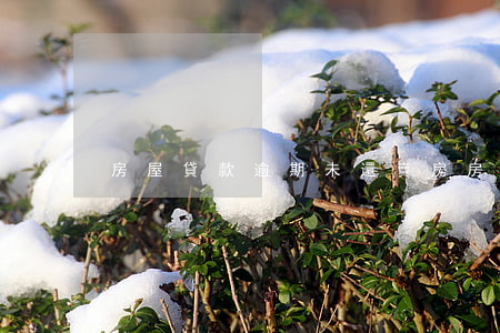 房屋貸款逾期未還賣房(房貸未還完能賣嗎)