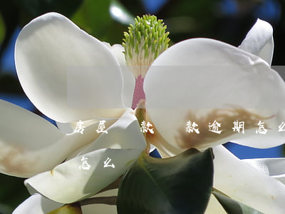 房屋貸款還款逾期怎么辦(房屋貸款還款逾期怎么辦)