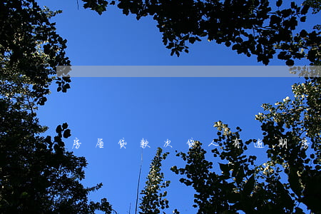 房屋贷款次贷人有逾期(房贷多次逾期)