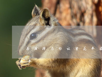 房屋赠与协议书范本(农村房屋赠与协议书范本)