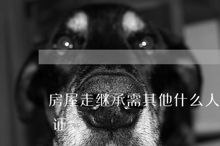 房屋走继承需其他什么人公证(房产继承权公证)