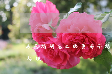 房屋超期怎么收费（房子超过90天逾期怎么处理）