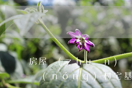 房屋轉(zhuǎn)讓協(xié)議書(農(nóng)村宅基地和房屋轉(zhuǎn)讓協(xié)議書)